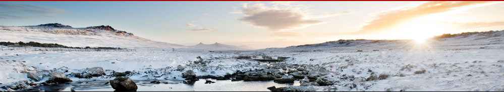 Tourismus.de - Falklandinseln